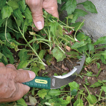 Load image into Gallery viewer, Nisaku KUSANUKIKAMA Saw Tooth Sickle, 4.25-Inch Blade
